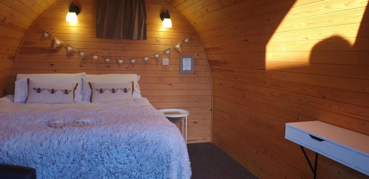 THE LITTLE HIDE - GROWN UP GLAMPING WIGGINTON (NORTH YORKSHIRE) (United  Kingdom) - from £ 68